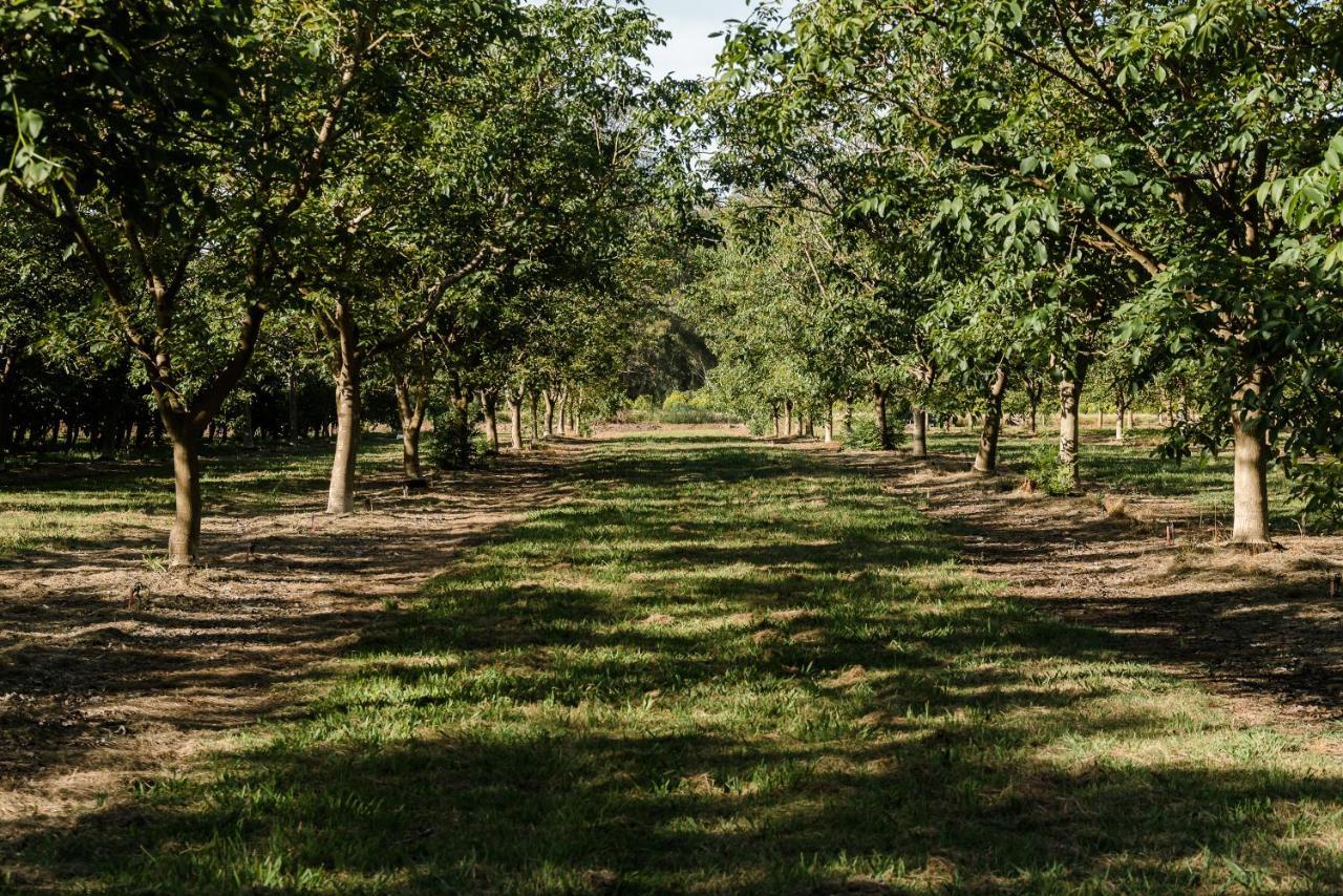 Walnut Tree Cottages Whorouly Kültér fotó